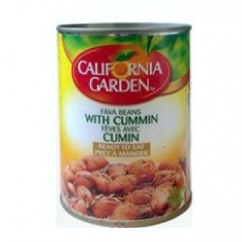 california-gar-foul-medamas-cumin-20190111112936-88338.jpg